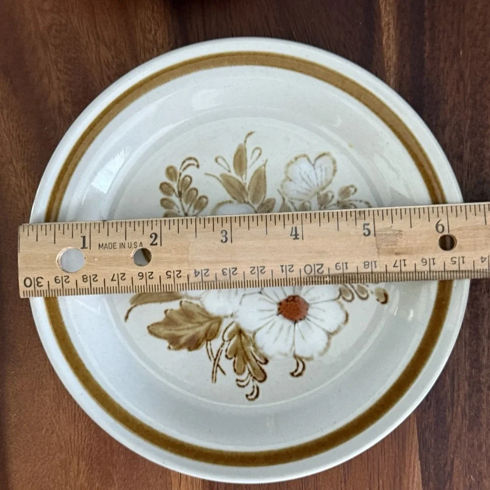 Mountain Wood Collection Dried Flowers Dessert Plates Set 5 Japan Stoneware 6.25
